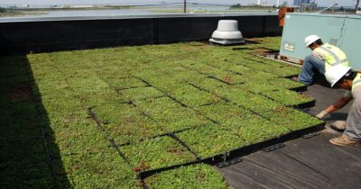 manutenção telhado verde